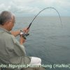 Cau Ca Biển